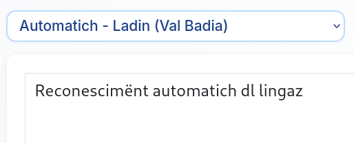 Screenshot: Automatic Language Detection